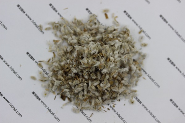 <a href='http://www.hn123.net.cn/caohuazhongzi/1652.html' target='_blank'>永生菊</a><a href='http://www.hn123.net.cn/' target='_blank'>種子</a>