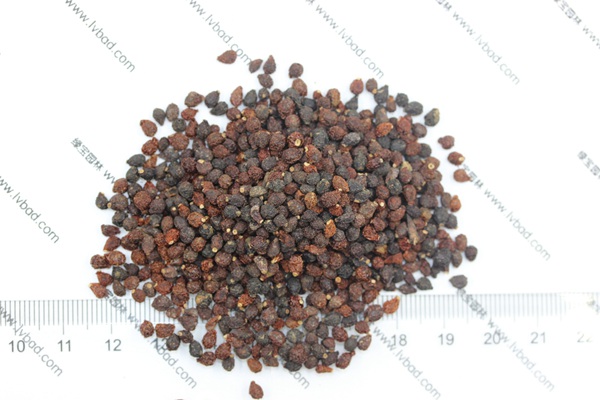 藍(lán)花<a href='http://www.hn123.net.cn/caohuazhongzi/1578.html' target='_blank'>鳶尾種子</a>