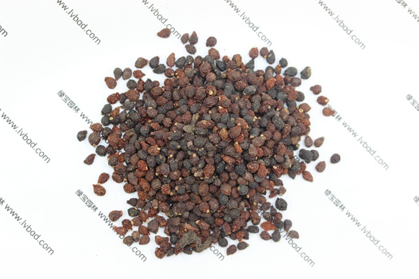 藍(lán)花<a href='http://www.hn123.net.cn/caohuazhongzi/1578.html' target='_blank'>鳶尾</a><a href='http://www.hn123.net.cn/' target='_blank'>種子</a>