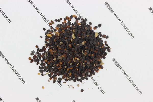 <a href='http://www.hn123.net.cn/caohuazhongzi/1574.html' target='_blank'>康乃馨</a><a href='http://www.hn123.net.cn/' target='_blank'>種子</a>