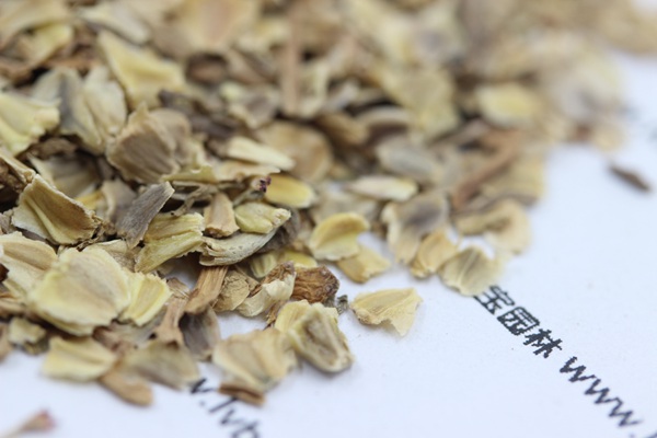 <a href='http://www.hn123.net.cn/caohuazhongzi/1067.html' target='_blank'>花環(huán)菊</a><a href='http://www.hn123.net.cn/' target='_blank'>種子</a>
