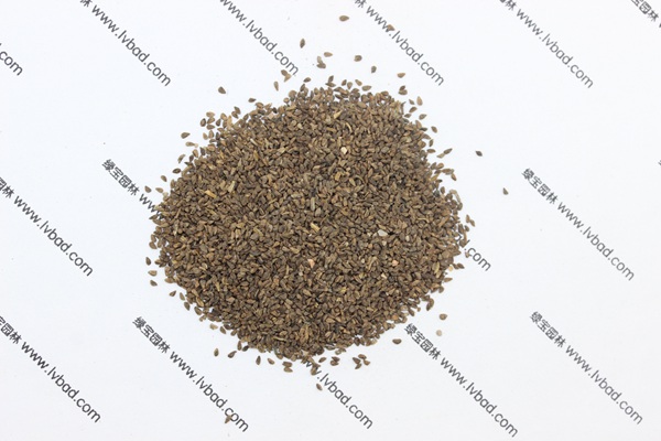 <a href='http://www.hn123.net.cn/caohuazhongzi/1056.html' target='_blank'>古代稀種子</a>