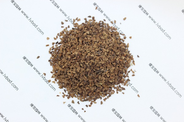 <a href='http://www.hn123.net.cn/caohuazhongzi/1042.html' target='_blank'>吊鐘柳</a><a href='http://www.hn123.net.cn/' target='_blank'>種子</a>