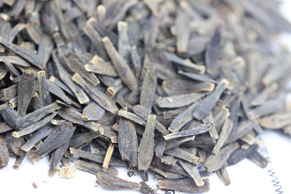 <a href='http://www.hn123.net.cn/caohuazhongzi/1038.html' target='_blank'>大麗花種子</a>
