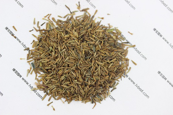 <a href='http://www.hn123.net.cn/caohuazhongzi/1031.html' target='_blank'>除蟲菊</a><a href='http://www.hn123.net.cn/' target='_blank'>種子</a>