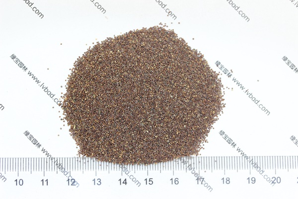 矮牽<a href='http://www.hn123.net.cn/' target='_blank'>種子</a>