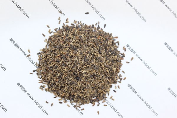 <a href='http://www.hn123.net.cn/mucaozhongzi/14254.html' target='_blank'>菊苣</a><a href='http://www.hn123.net.cn/' target='_blank'>種子</a>
