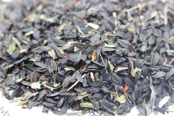 苦麥菜<a href='http://www.hn123.net.cn/' target='_blank'>種子</a>圖片