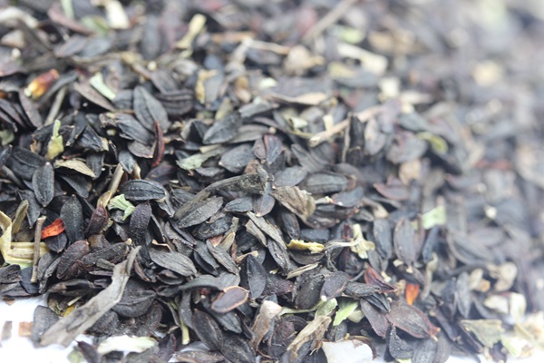 苦麥菜<a href='http://www.hn123.net.cn/' target='_blank'>種子</a>圖片