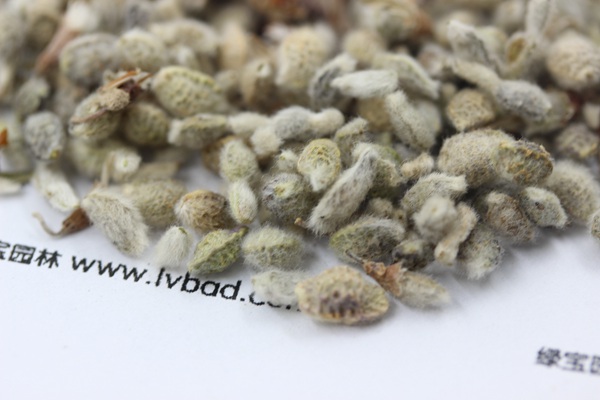 <a href='http://www.hn123.net.cn/mucaozhongzi/1685.html' target='_blank'>花棒</a><a href='http://www.hn123.net.cn/' target='_blank'>種子</a>