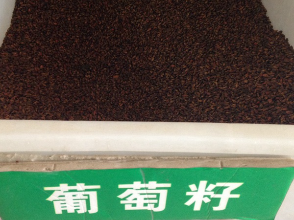<a href='http://www.hn123.net.cn/guoshuzhongzi/1887.html' target='_blank'>葡萄</a><a href='http://www.hn123.net.cn/' target='_blank'>種子</a>