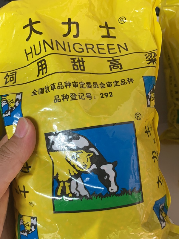 <a href='http://www.hn123.net.cn/mucaozhongzi/16575.html' target='_blank'>大力士甜高粱</a><a href='http://www.hn123.net.cn/' target='_blank'>種子</a>
