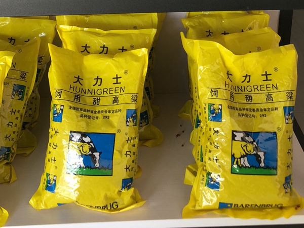 <a href='http://www.hn123.net.cn/mucaozhongzi/16575.html' target='_blank'>大力士甜高粱種子</a>