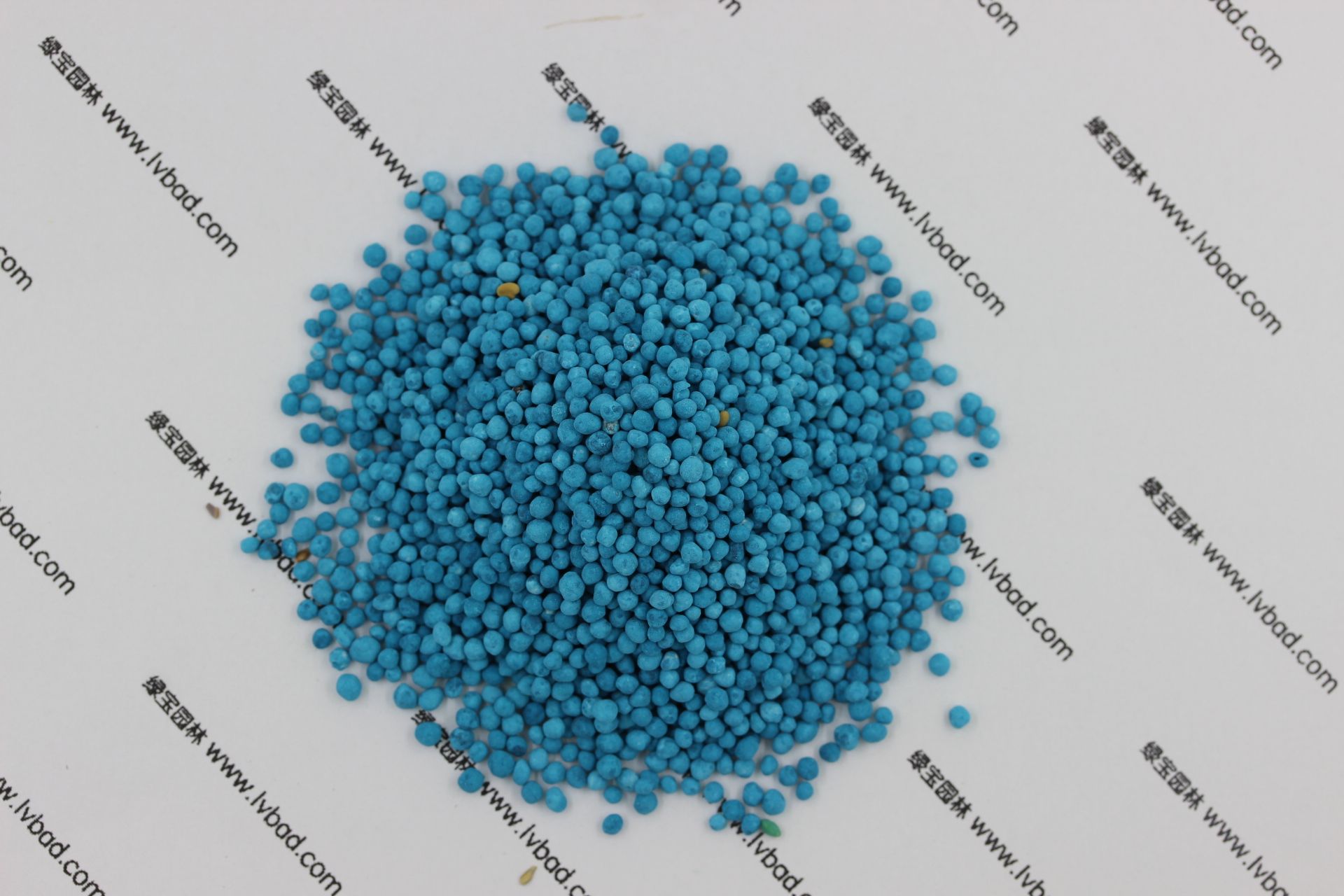 <a href='http://www.hn123.net.cn/caopingzhongzi/1672.html' target='_blank'>馬蹄金種子</a>
