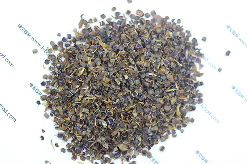 <a href='http://www.hn123.net.cn/caohuazhongzi/1568.html' target='_blank'>金雞菊種子</a>