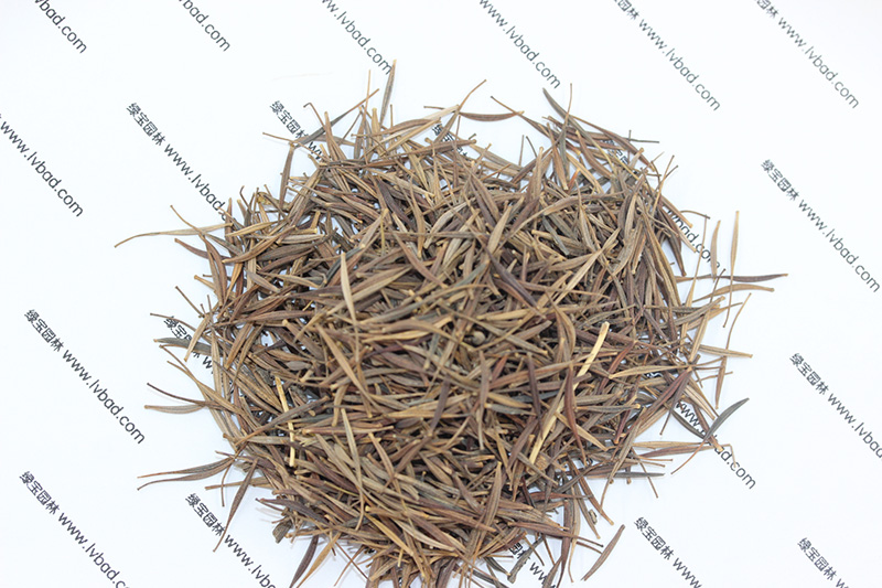 <a href='http://www.hn123.net.cn/caohuazhongzi/1583.html' target='_blank'>硫華菊種子</a>