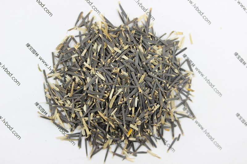 <a href='http://www.hn123.net.cn/caohuazhongzi/1631.html' target='_blank'>萬壽菊種子</a>
