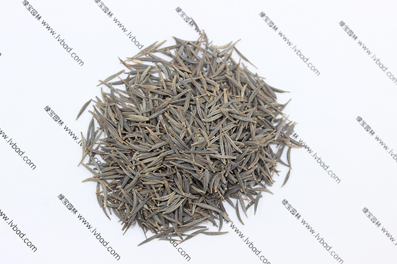 <a href='http://www.hn123.net.cn/caohuazhongzi/1054.html' target='_blank'>格?；ǚN子</a>
