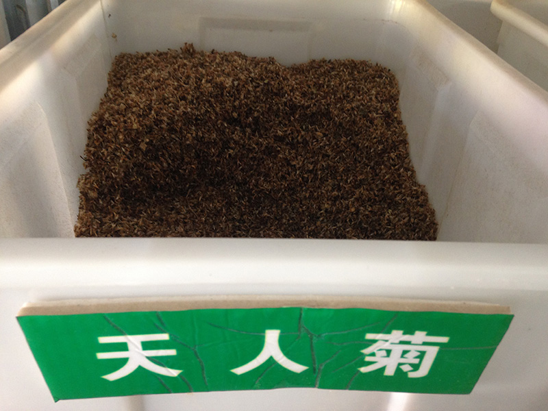 <a href='http://www.hn123.net.cn/caohuazhongzi/16044.html' target='_blank'>天人菊</a><a href='http://www.hn123.net.cn/' target='_blank'>種子</a>