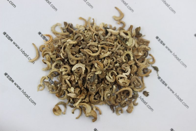 <a href='http://www.hn123.net.cn/caohuazhongzi/1571.html' target='_blank'>金盞菊</a><a href='http://www.hn123.net.cn/' target='_blank'>種子</a>圖片