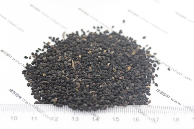 <a href='http://www.hn123.net.cn/caohuazhongzi/1061.html' target='_blank'>黑種草種子</a>