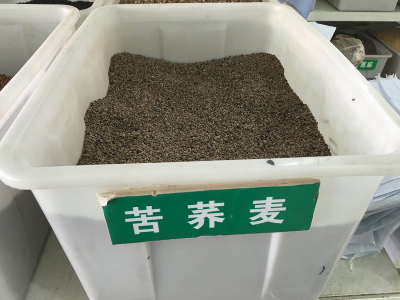 <a href='http://www.hn123.net.cn/yaocaizhongzi/2311.html' target='_blank'>蕎麥種子</a>
